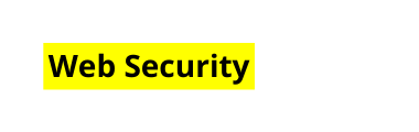 Web Security